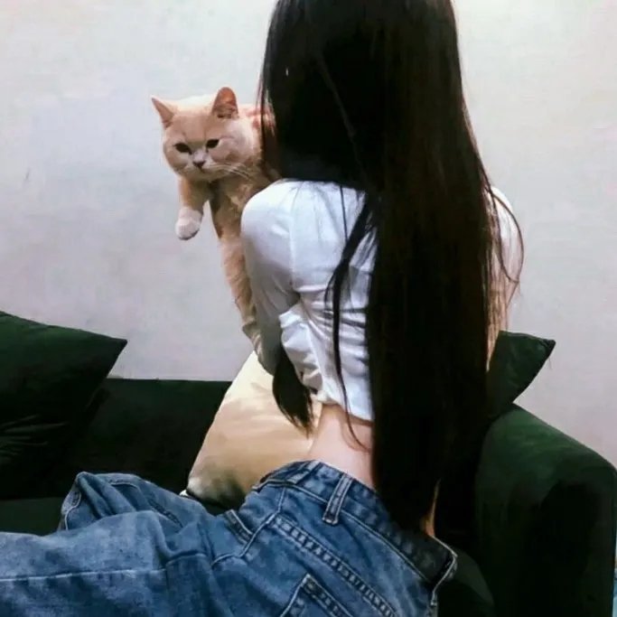 肥猫斗小强电影版
